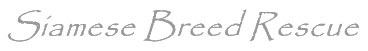 SiameseBreedRescue