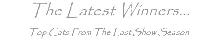 latestwinners