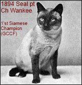 1894-chWankee.png