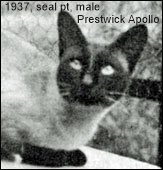1937-Prestwick-Apollo.png