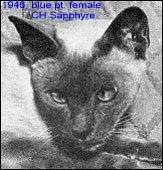 1946-CH-SapphyreOfHollywood.png