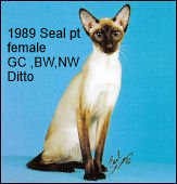 1989-gcbwnwDitto.png