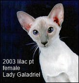 2003-GC-LadyGaladriel.png