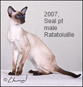 2007-GC-Ratatouille.png