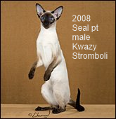 2008-GCRW-KwazyStromboli.png