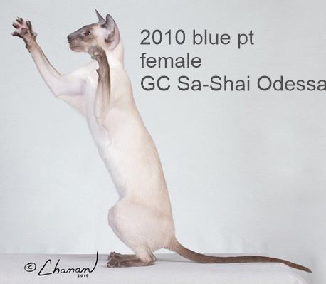 2010-GC-SA-SHI-Odessa.png