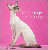 2011-GCRW-Raquel.png