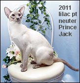2011-GPD-RW-PrinceJack.png