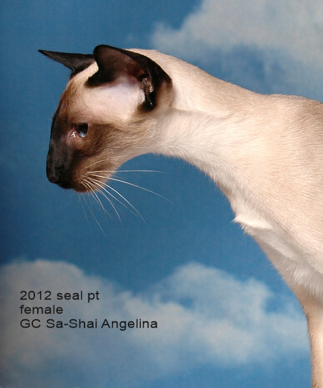 2012-GC-Sa-Shai-Angelina.png