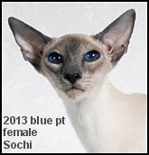 2013-GC-Sochi.png