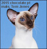 2015-TomJones.png