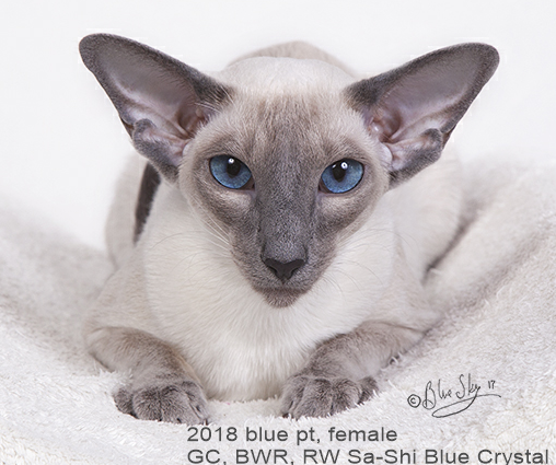 2018-GCBWERW-Sa-Shai-BlueCrystal.png
