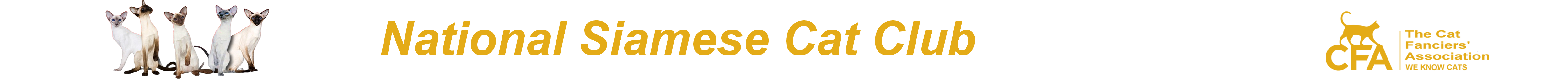 nscc home banner nobackground