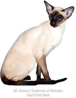MulansTeodorico