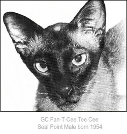 GCFan T CeeTeeCee