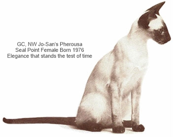 GC, NW Jo-San's Pherousa Seal Point Female Born 1976 Elegance that stands the test of time JoSansPherousa 1