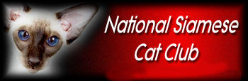 NSCCbanner3