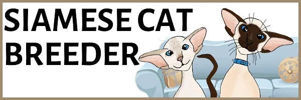 SiameseCatBreeder