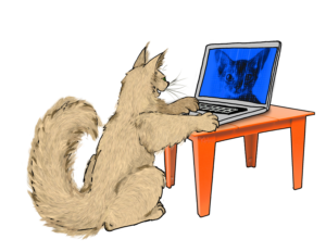 WebMaster 300x232
