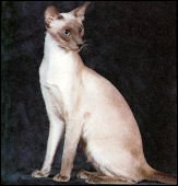 calermarscalypso