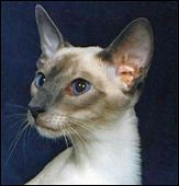 luinselendil