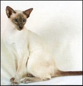 klahaunslevioftexthai