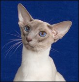 alexyalphacentauri