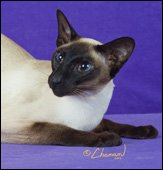 areestacatsmetsooyan