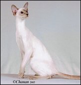ayuthaykashanofthaifong