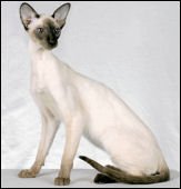 davisiamdividendofareestacats