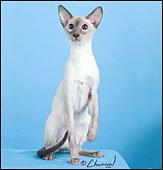 devegasandersoncooper